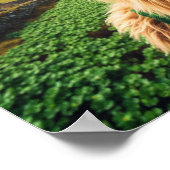 An Irish Sasquatch Poster (Ecke)