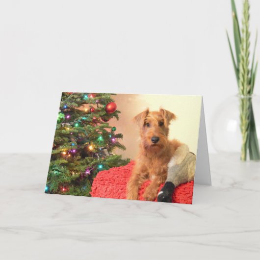 An Irish Terrier Christmas Feiertagskarte (Vorderseite)