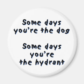 An manchen Tagen bist du der Hund Magnet