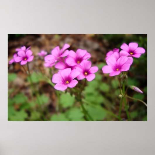 An meiner Türstufe drucken Poster (Vorne)