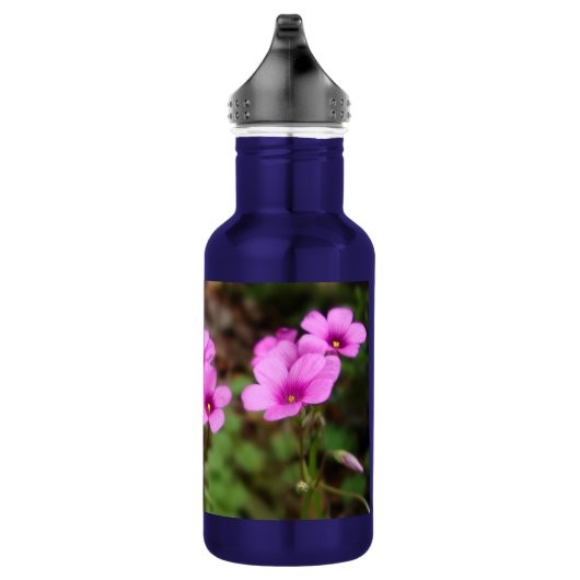 An meiner Türstufe Trinkflasche (Rechts)