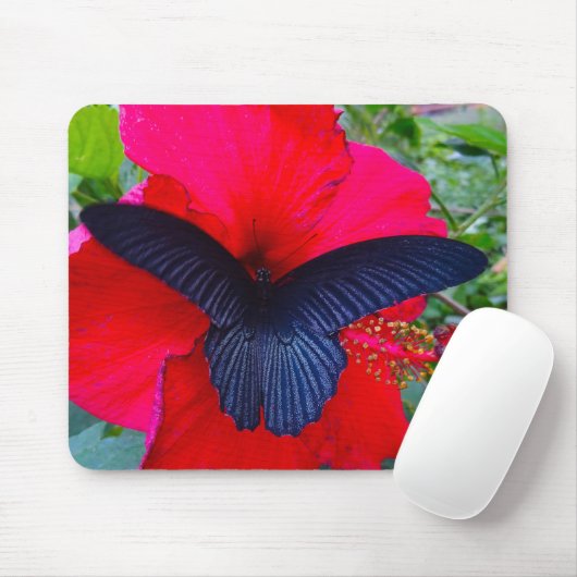 - An Schmetterling Mousepad süß nippen (Mit Mouse)