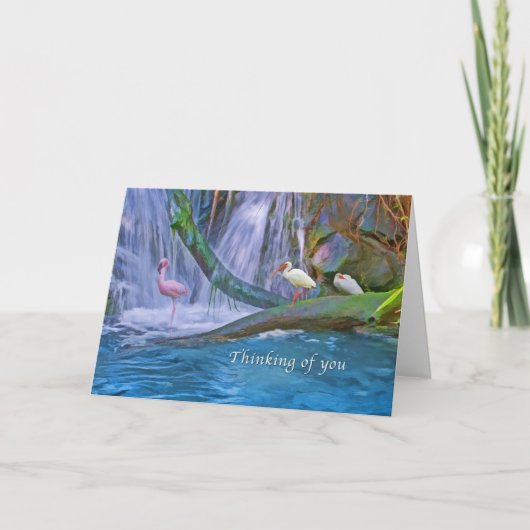 An Sie denken, tropischer Wasserfall, Vögel Karte (Vorderseite)