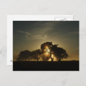 An solchen Morgens Postkarte (Vorne/Hinten)