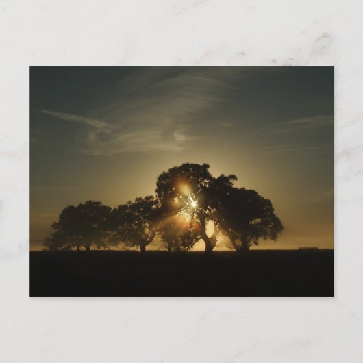 An solchen Morgens Postkarte (Vorderseite)