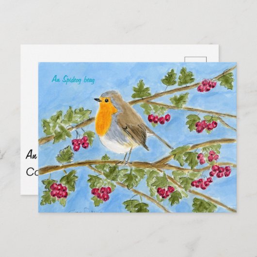 An Spideog beag postcard Postkarte (Vorne/Hinten)