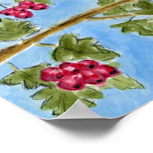 An Spideog beag Poster (Ecke)