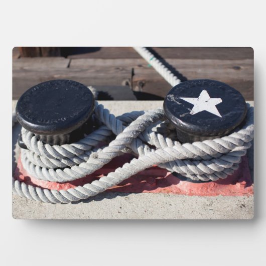 An zwei Pollen geklebter Seil Fotoplatte (Vorderseite)