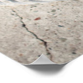 An zwei Pollen geklebter Seil Poster (Ecke)