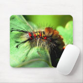 Anacapa Inseltussock-Motten-Raupe Mousepad (Mit Mouse)