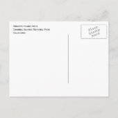 Anacapa Island Arch, Channel Islands National Park Postkarte (Rückseite)