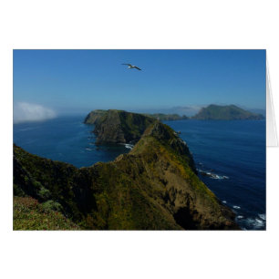 Anacapas Inspiration Point I auf den Channel Islan