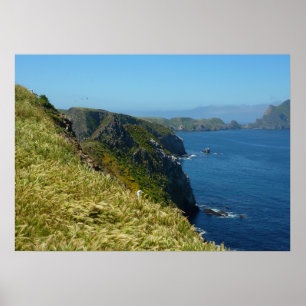 Anacapas Inspiration Point II auf den Channel Isla Poster