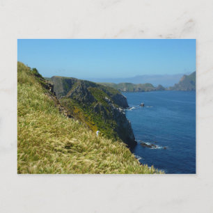 Anacapas Inspiration Point II auf den Channel Isla Postkarte