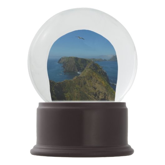 Anacapas Inspirationspunkt I auf den Kanalinseln Schneekugel (Vorderseite)