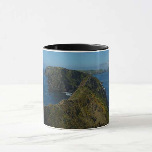 Anacapas Inspirationspunkt I auf den Kanalinseln Tasse (Zentrum)