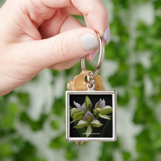 Anacheilium Chacoense Schlüsselanhänger (Hand)
