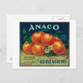 Anaco Apple Crate Label Postkarte (Vorne/Hinten)