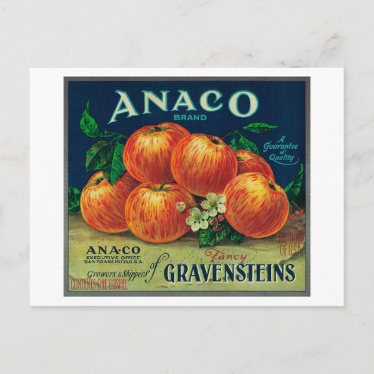 Anaco Apple Crate Label Postkarte (Vorderseite)