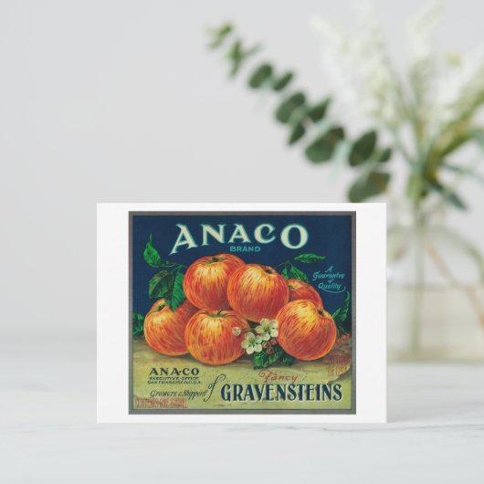 Anaco Apple Crate Label Postkarte (Stehend Vorderseite)