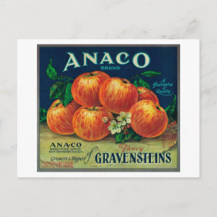 Anaco Apple Crate Label Postkarte