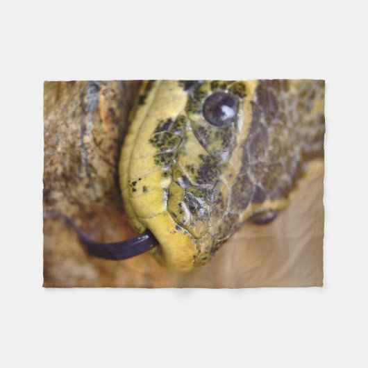 Anaconda Fleecedecke (Vorderseite (Horizontal))