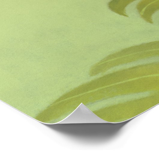 Anaconda Poster (Ecke)