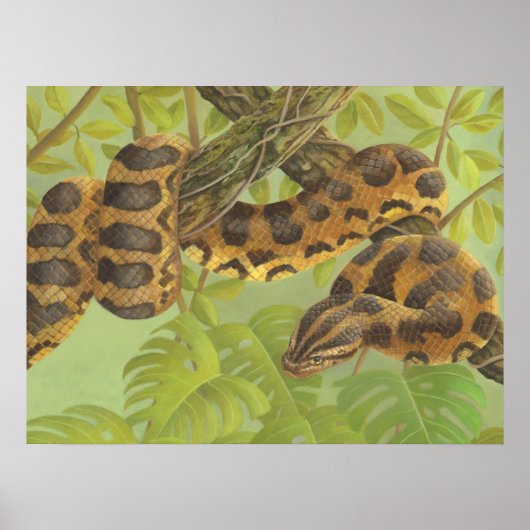 Anaconda Poster (Vorne)