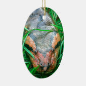 Anaconda-Schlange Keramikornament (Rechts)