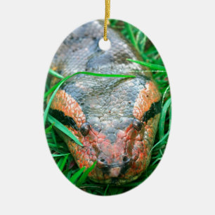 Anaconda-Schlange Keramikornament