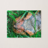 Anaconda-Schlange Puzzle (Horizontal)