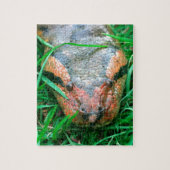 Anaconda-Schlange Puzzle (Vertikal)