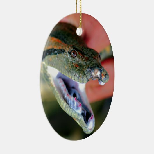 Anaconda Schlangenkiefer öffnen und große Fangzähn Keramikornament (Rechts)