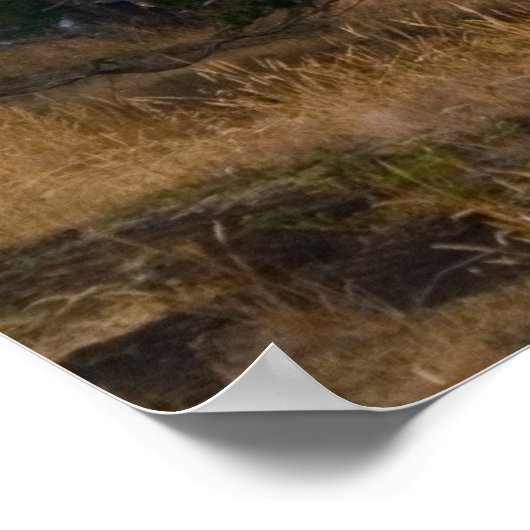 Anacortes Washington Print Poster (Ecke)