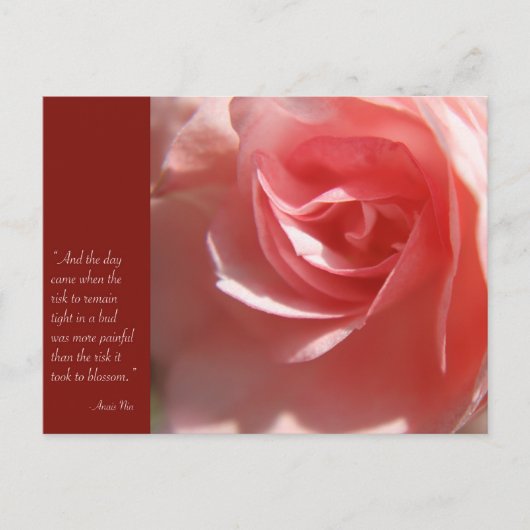 Anais Nin Quote Postcard in Rosa Postkarte (Vorderseite)