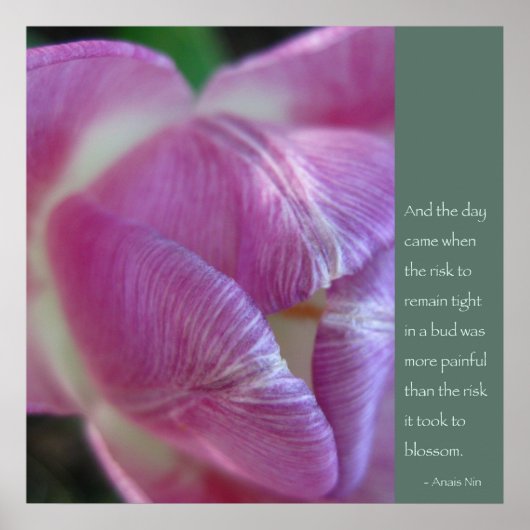 Anais Nin Quote Poster (Vorne)