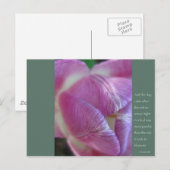 Anais Nin Quote Postkarte (Vorne/Hinten)