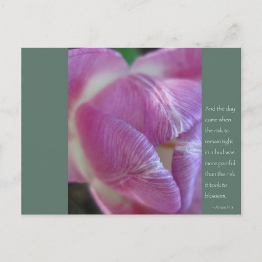 Anais Nin Quote Postkarte (Vorderseite)