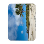 Anakena, Rapa Nui, Easter Island, Chile Magnet (Vertikal)