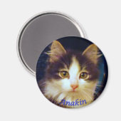 Anakin Two Leged Cat, Niedlich Kitten Round Magnet (Vorderseite/Rückseite)