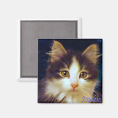 Anakin Two Leged Cat, Niedliches Kitten Square Mag Magnet (Vorderseite/Rückseite)