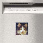 Anakin Two Leged Cat, Niedliches Kitten Square Mag Magnet (In Situ (Geschirrspüler))