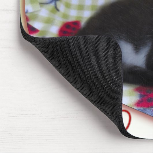 Anakin zwei Legende Katze Ladybug Herz KittyMousep Mousepad (Ecke)