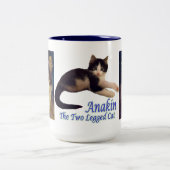 Anakin zwei mit Beinen versehene Katze, niedliche Zweifarbige Tasse (Mittel)