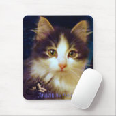 Anakin zwei mit Beinen versehene Katzen-niedliche Mousepad (Mit Mouse)