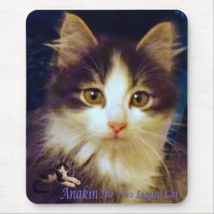 Anakin zwei mit Beinen versehene Katzen-niedliche Mousepad
