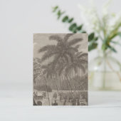 Anamooka, Tonga Postkarte (Stehend Vorderseite)