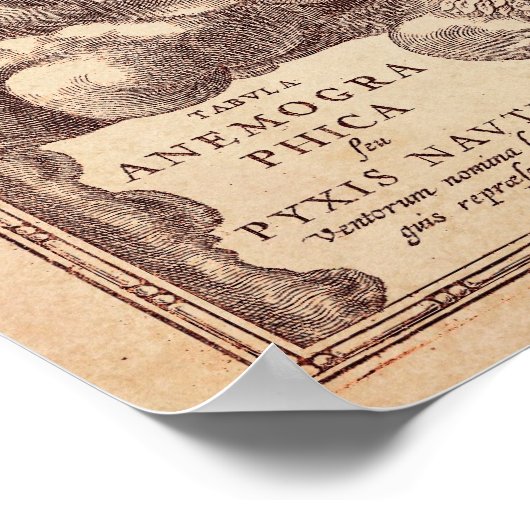 Anamorphe Rose Poster (Ecke)