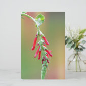 Ananapfelblüte Briefpapier (Stehend Vorderseite)