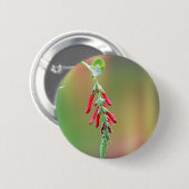 Ananapfelblüte Button (Vorne & Hinten)